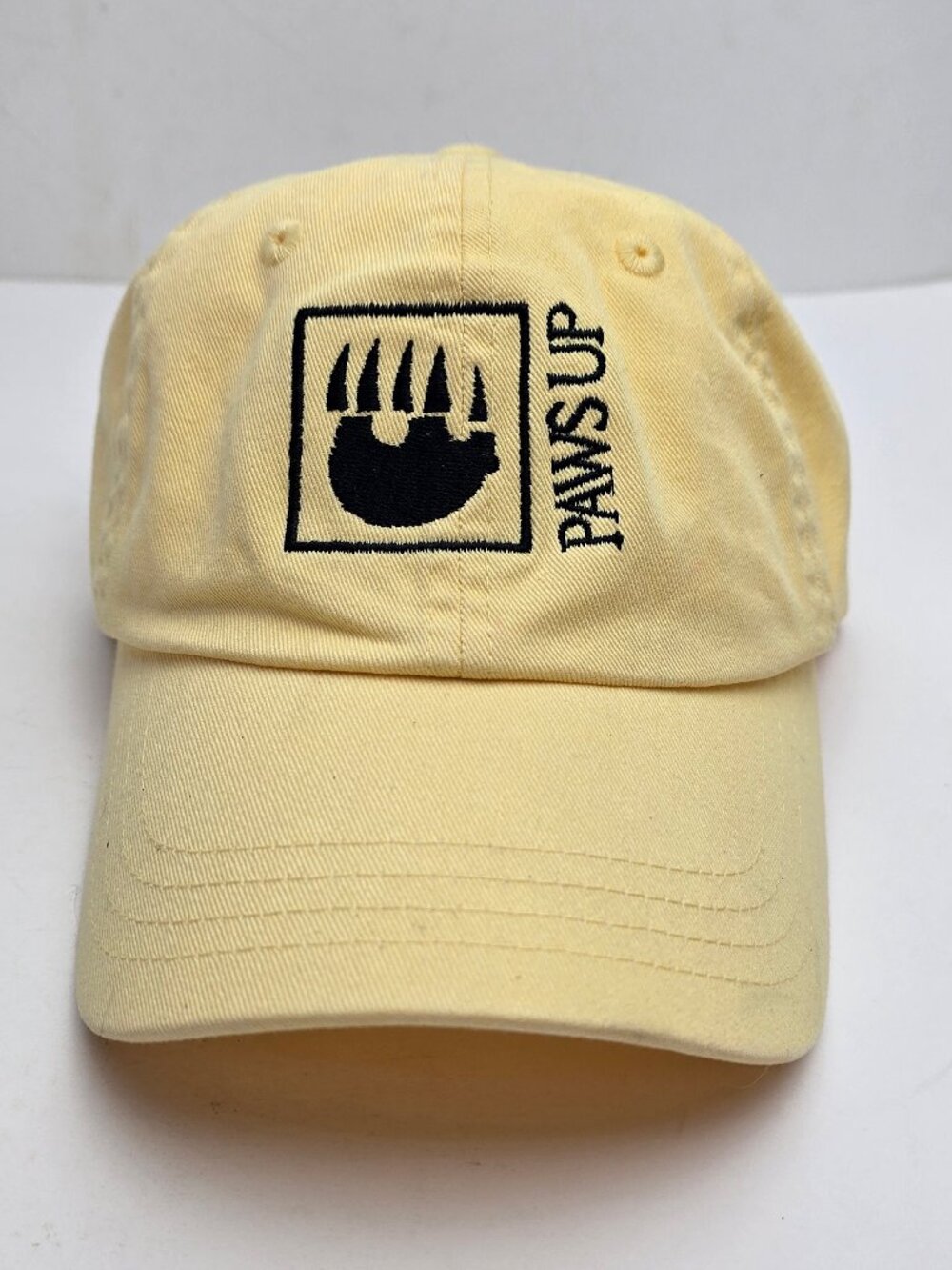 Classic Baseball Cap from The Resort at "Paws Up"